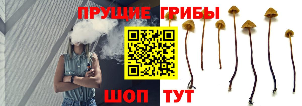 Галлюциногенные грибы Psilocybe  Вход с VPN  Заинск 
